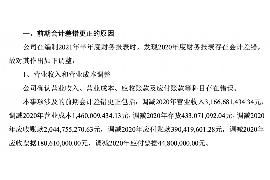 玛沁玛沁的要账公司在催收过程中的策略和技巧有哪些？